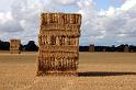 Haystacks by Fenway